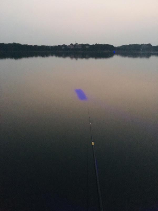 三戰團頭湖，周老漢已破解初冬鯉鯽之自然密碼