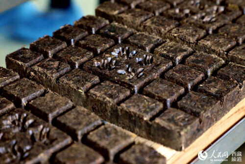 波密易貢：一片小茶葉，興了鄉村，富了百姓