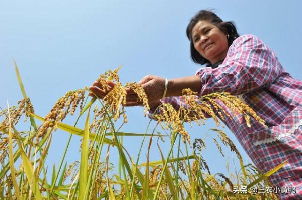 天氣預報:今日秋分,下雨天氣有什麼說法?看看老祖宗怎麼說? 天氣預報:今日秋分,下雨天氣有什麼說法?看看老祖宗怎麼說?