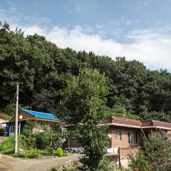 韓國農村空巢老人太慘！出門全靠走，村落十室三空，留守皆老人