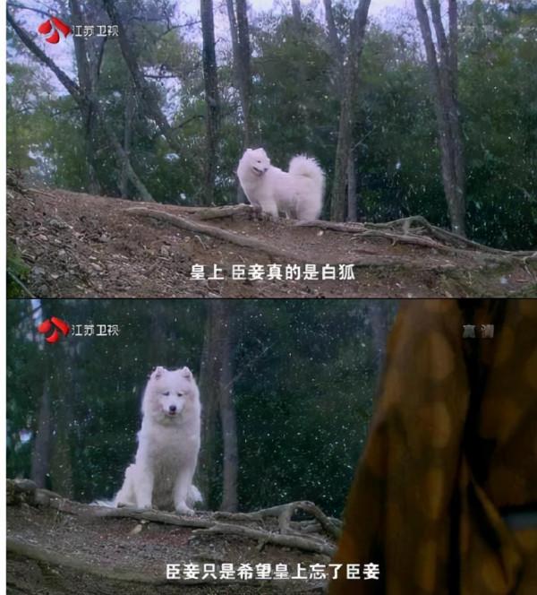 一個比一個廉價,辱智的五毛特效,但凡上點心都做不出這種東西 一個比一個廉價,辱智的五毛特效,但凡上點心都做不出這種東西