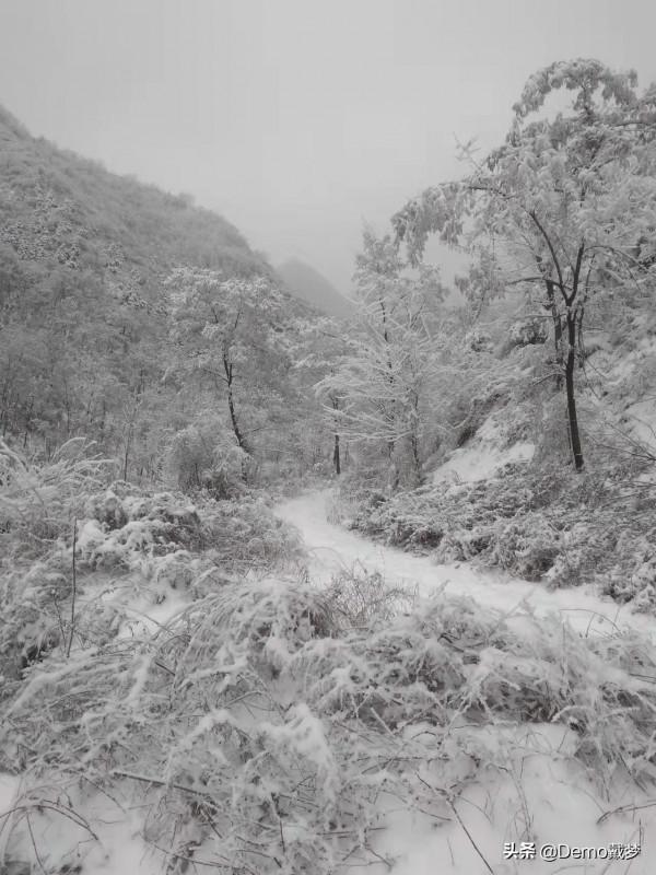 奇人在大理：初二輟學的登讓，終南山獨居六年後又來大理搞音樂