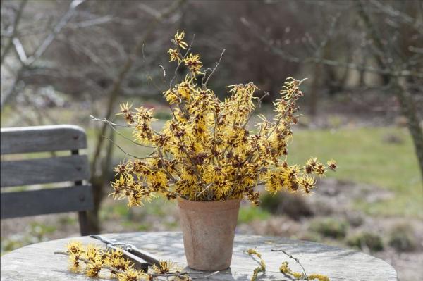 你的心態，你的命