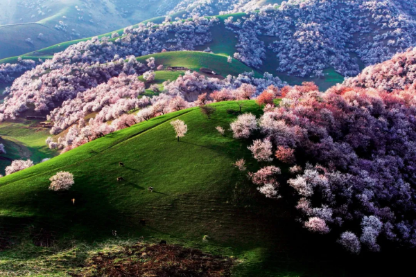 此生必去的新疆怎麼玩？看完這篇就夠了