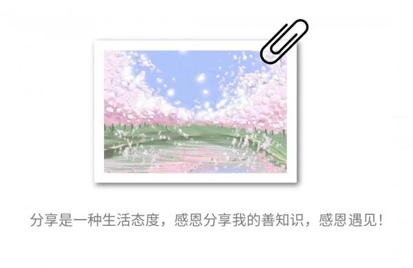 二寶扎頭髮事件 二寶扎頭髮事件