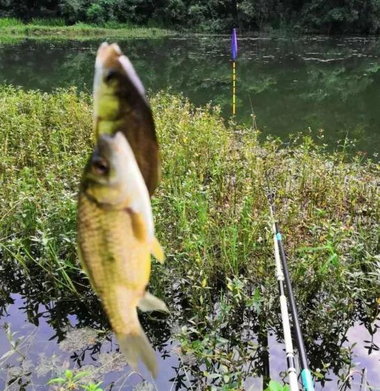 水底地形複雜，試試這三招，再也不糾結怎麼調漂了