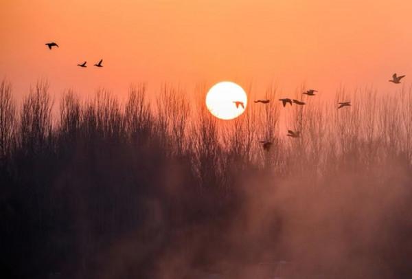 一個人生活中沒有朋友，親情淡漠，多半是以下這3個原因導致