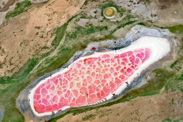 毫無懸念!今年最美的國內秋天,果然還是額濟納 毫無懸念!今年最美的國內秋天,果然還是額濟納