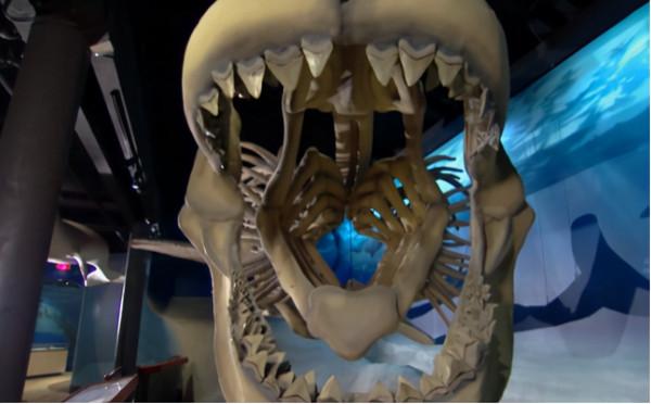 恐龍是如何滅絕的?看完真實的史前世界,我終於明白了 恐龍是如何滅絕的?看完真實的史前世界,我終於明白了