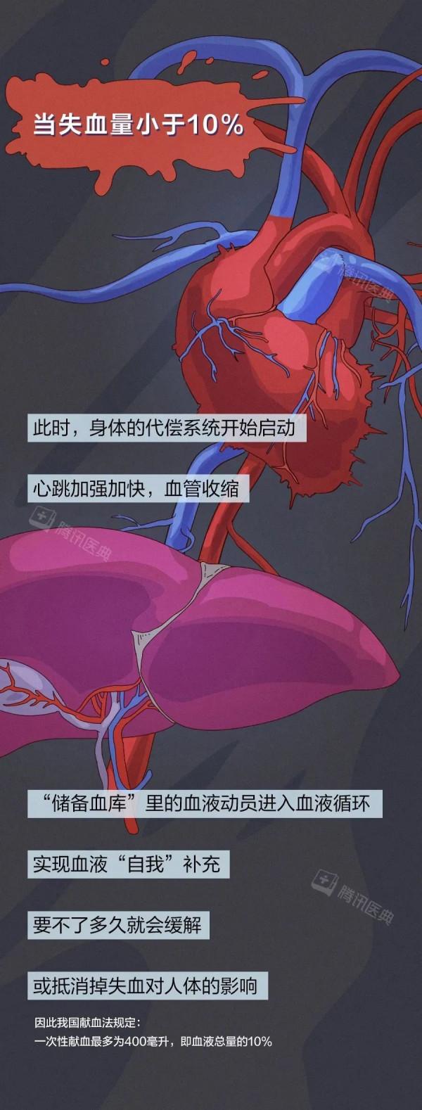 用漫畫告訴你：人止不住的大出血，到底有多可怕？
