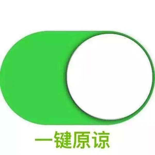 &OpenCurlyDoubleQuote;打車被拒載後，我家狗學會了騎車&rdquo;