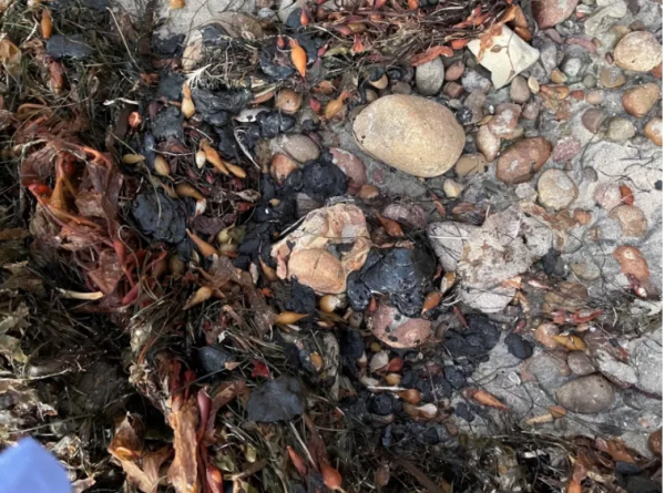 聖地亞哥拉霍亞海灘出現石油塊，遇到勿接觸