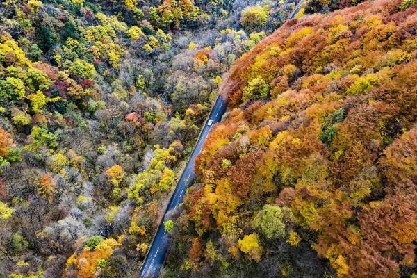 這才是11月最推薦去的景點，秋色正美還小眾，適合閒居兩三日