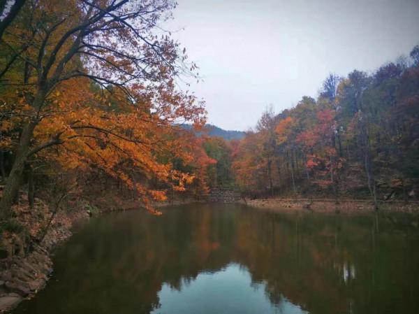 遊東庵森林公園