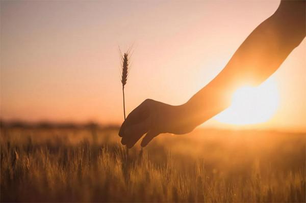 整理房間又何嘗不是在整理自己呢？