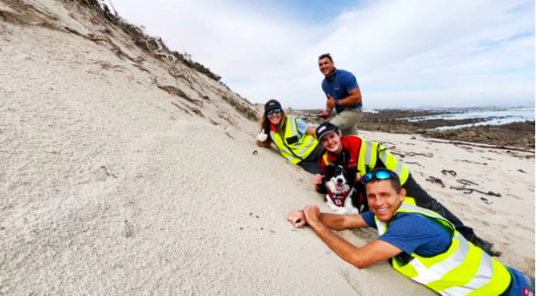 科學家在狗狗的幫助下找到了消失百年的物種——南非德溫頓金痣 科學家在狗狗的幫助下找到了消失百年的物種——南非德溫頓金痣