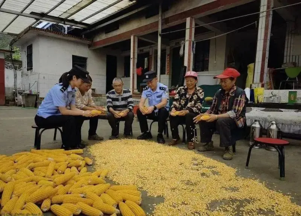 他們之間的浪漫是為愛奔赴千里，是並肩作戰的牽掛