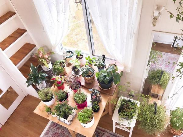 54歲,至今單身,住在鄉下,房子面積只有18㎡ 54歲,至今單身,住在鄉下,房子面積只有18㎡