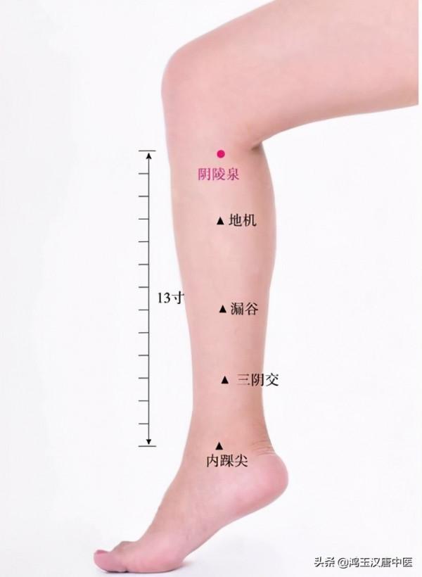 記住陰陵泉這個穴位，可以輕鬆去除你身上的溼氣