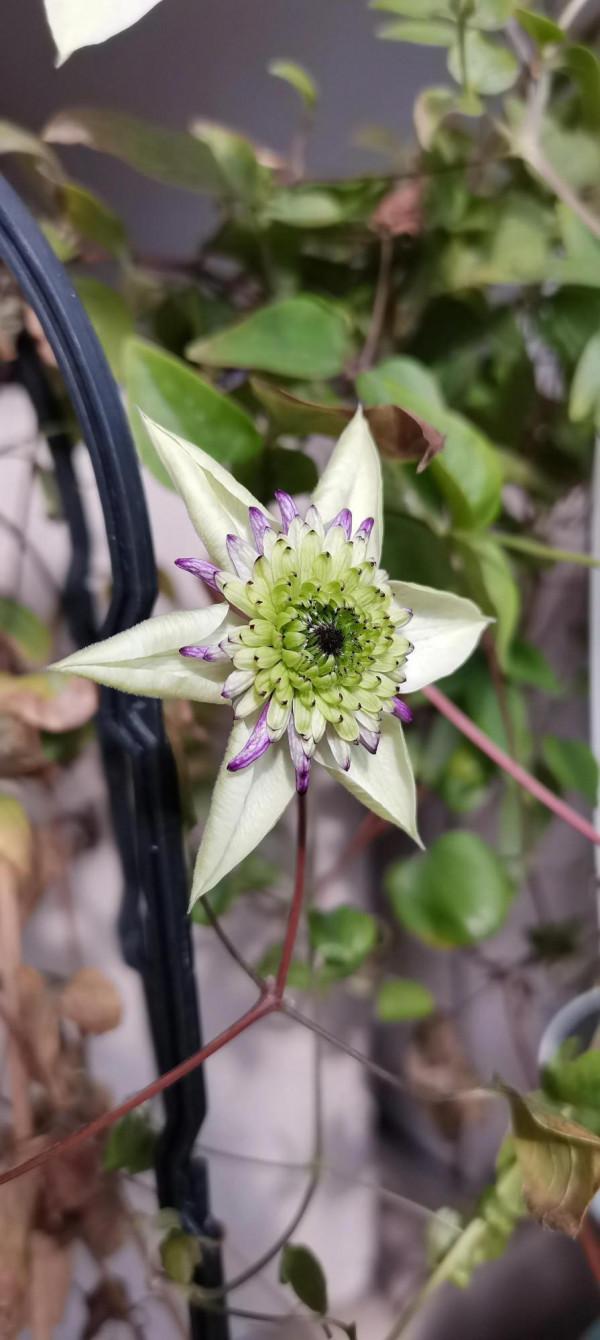 一個轉身，秋天成了風景，冬天成了期待，好好生活，慢慢相遇
