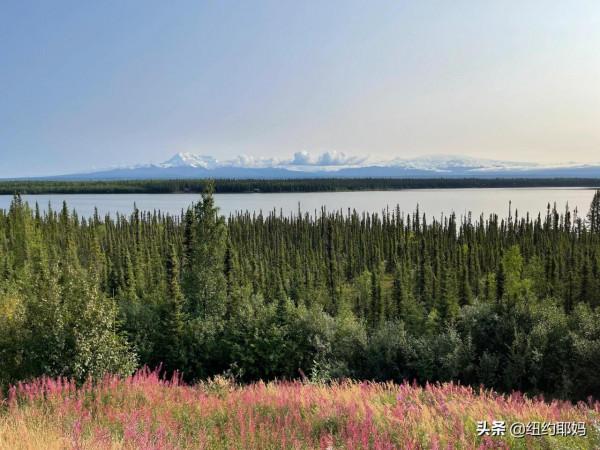 2021 阿拉斯加自駕遊（10）荒野外的荒野Wrangell國家公園
