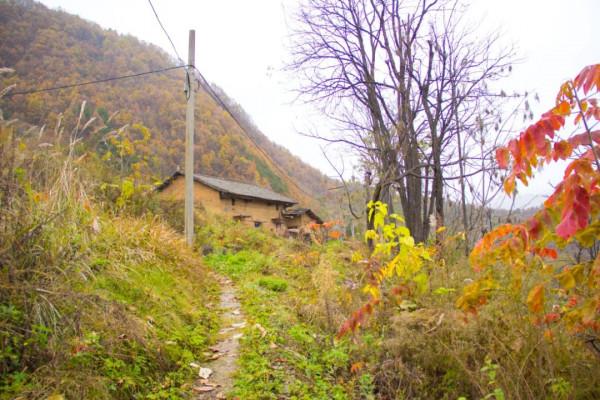 尋訪秦嶺將臺子，山腰碰到一個隧道，與《千與千尋》中的高度相似