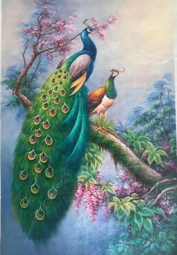 大師價格的手繪油畫孔雀,簡直不敢相信這是畫的,簡直跟照片似的 大師價格的手繪油畫孔雀,簡直不敢相信這是畫的,簡直跟照片似的