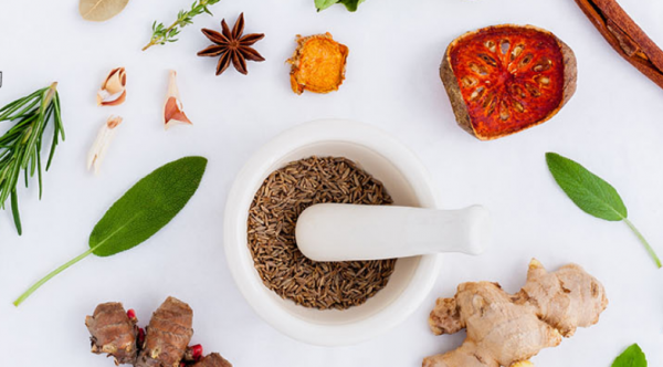 近期科研成果選編（第24期）