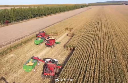 十八連豐！我國糧食產能穩步提升