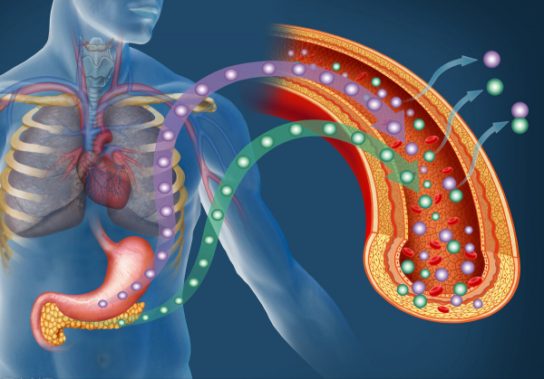 2箇中成藥，降糖調脂、抗氧化應激、改善胰島素抵抗，保護心腦腎