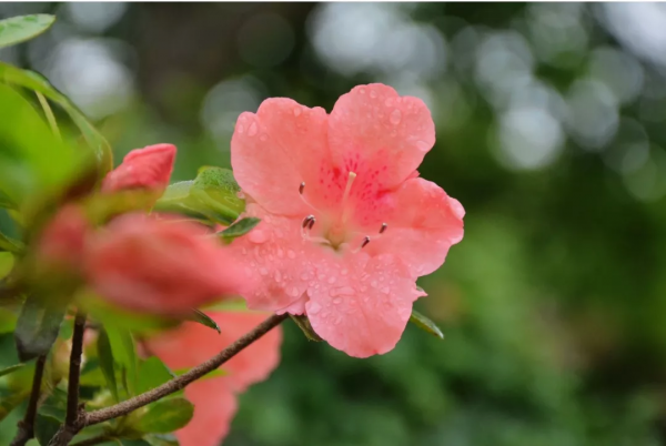 中國古今十之最,長見識了! 中國古今十之最,長見識了!