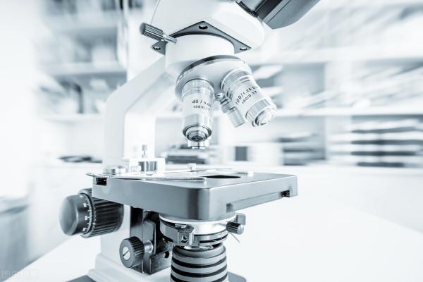 「邁傑行業新聞分享」2021最值得關注新靶點前100之&lbrack;Smoothened&rsqb;