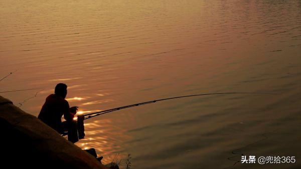 釣王鄧剛在廣東盤黑坑，塘主瞧不起被打臉，不要魚獲抬回了一頭豬