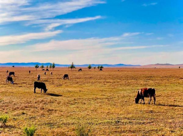 遊內蒙古的世界文化遺產-“元上都遺址”，覽清朝皇家寺院-匯宗寺