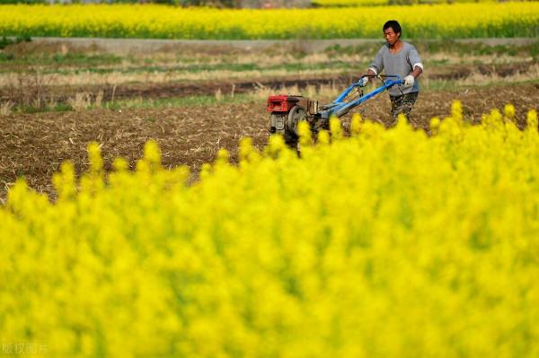 白露逢八月初一,秋分一定會遇到八月十五嗎?不一定,今年就不是 白露逢八月初一,秋分一定會遇到八月十五嗎?不一定,今年就不是