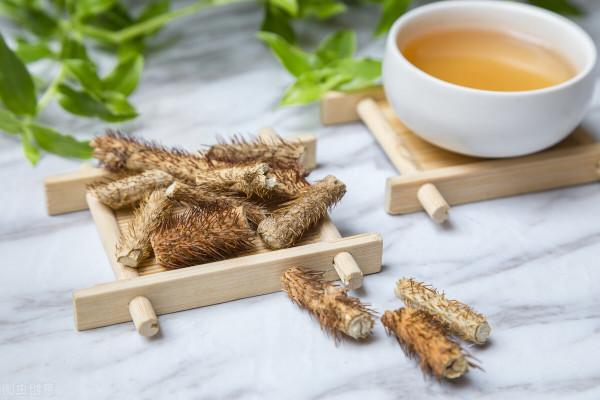 刺五加——一味可補脾、肺、腎、心的藥食同源中藥，不來了解下嗎