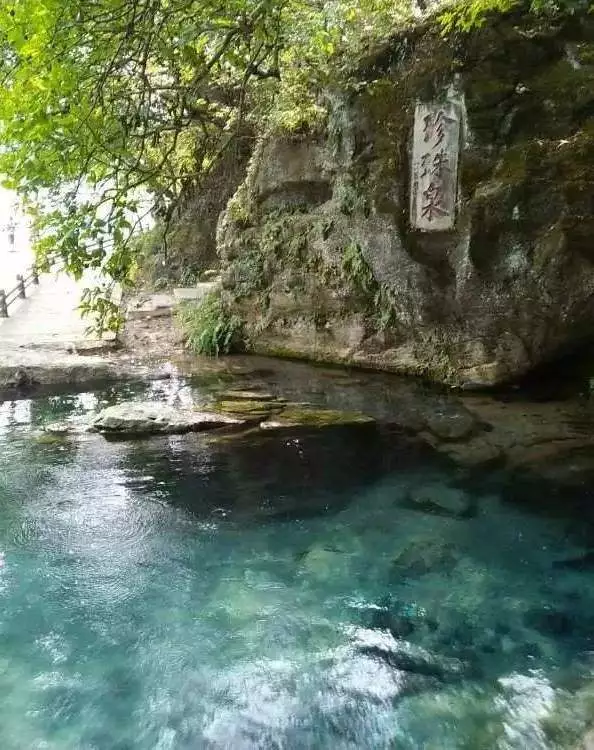 中國的“十大”，快來看看...