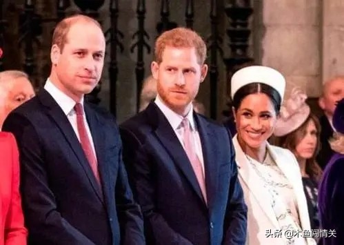 戴安娜嫁查爾斯,都改變不了威廉變禿的命運 戴安娜嫁查爾斯,都改變不了威廉變禿的命運