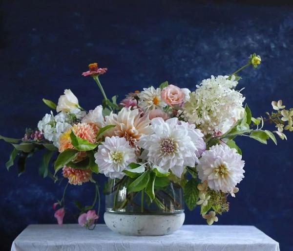 植庫‖豐富多彩的大麗花竟被冠為慘案之名？