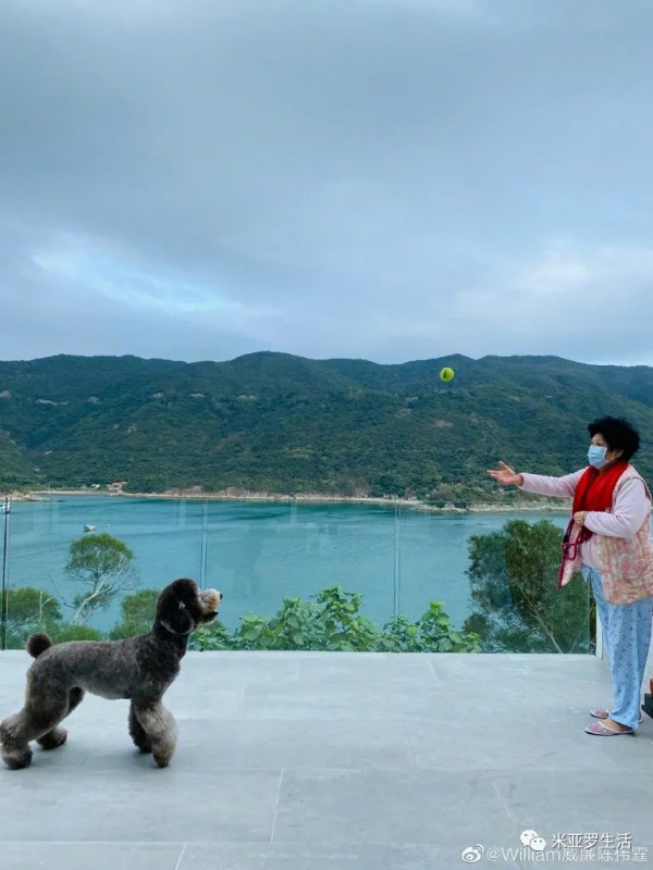 陳偉霆的北京豪宅,依山傍水、舒適治癒 陳偉霆的北京豪宅,依山傍水、舒適治癒