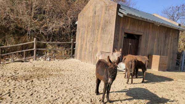一生去過一次就足矣的古鎮——華陽古鎮