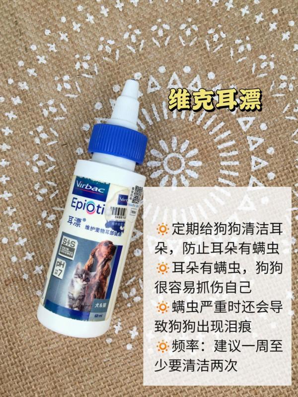 新手養狗清潔誤區！養狗新手別再犯錯啦