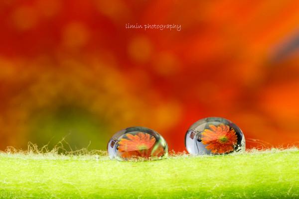 詩詞丨有些人,相伴一程,思念一生 詩詞丨有些人,相伴一程,思念一生