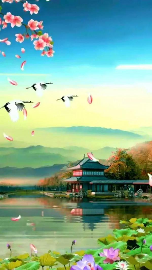 大自然的美，真的讓人羨慕