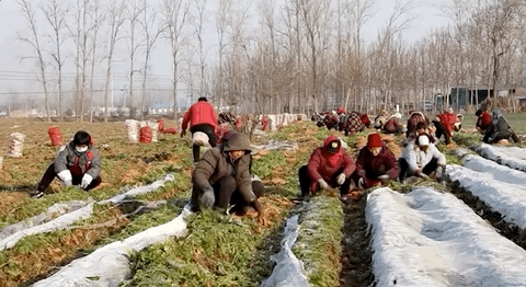 螺螄粉、小油饢、蔬菜、羊肉……都來了