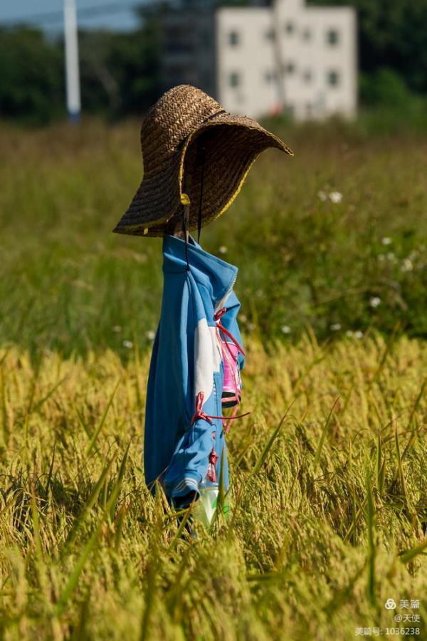 「視覺廣東」稻草人