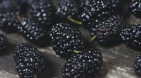 長肉“最猛”的食物，一定要管住嘴，可就是控不住，一直大快朵頤