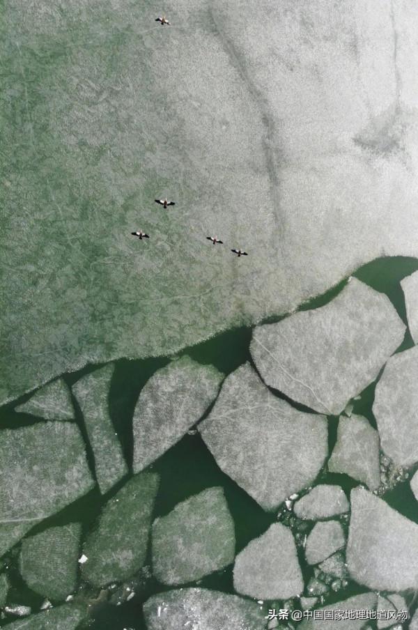 甘肅武威,有多“威武”? 甘肅武威,有多“威武”?