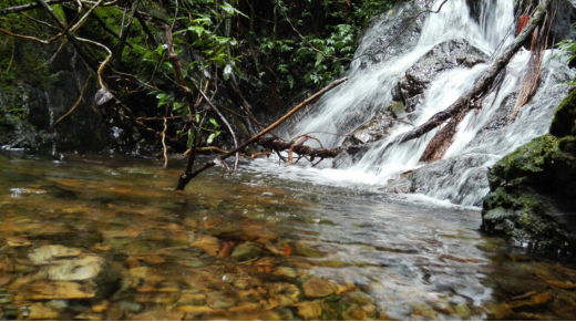 趕中秋國慶假期來臨前,在千島湖來一場心靈之旅 趕中秋國慶假期來臨前,在千島湖來一場心靈之旅