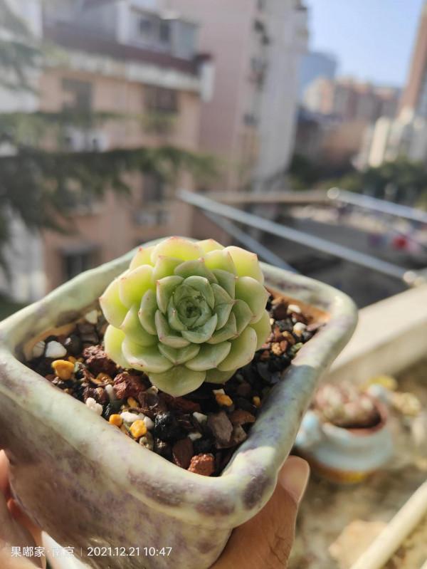 最近降溫，大家注意保暖哦